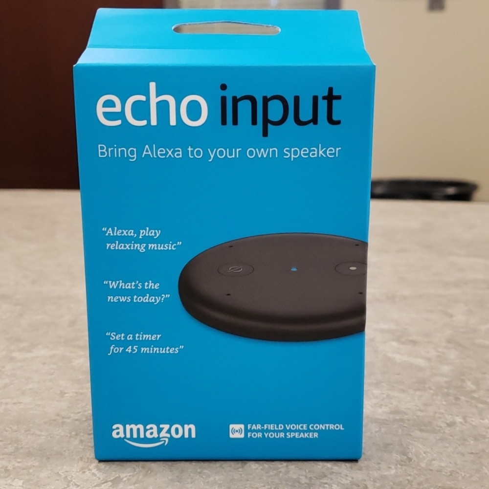Amazon echo input